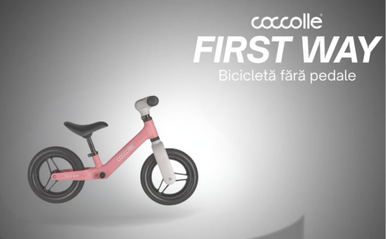 Bicicleta fara pedale First Way